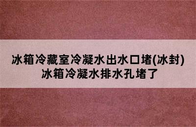 冰箱冷藏室冷凝水出水口堵(冰封) 冰箱冷凝水排水孔堵了